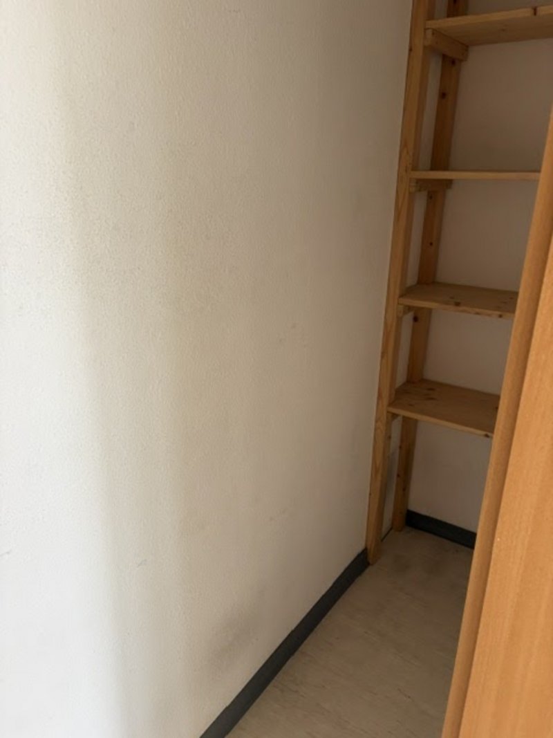 Schöne 1-Zimmer Wohnung in Dresden-Albertstadt
