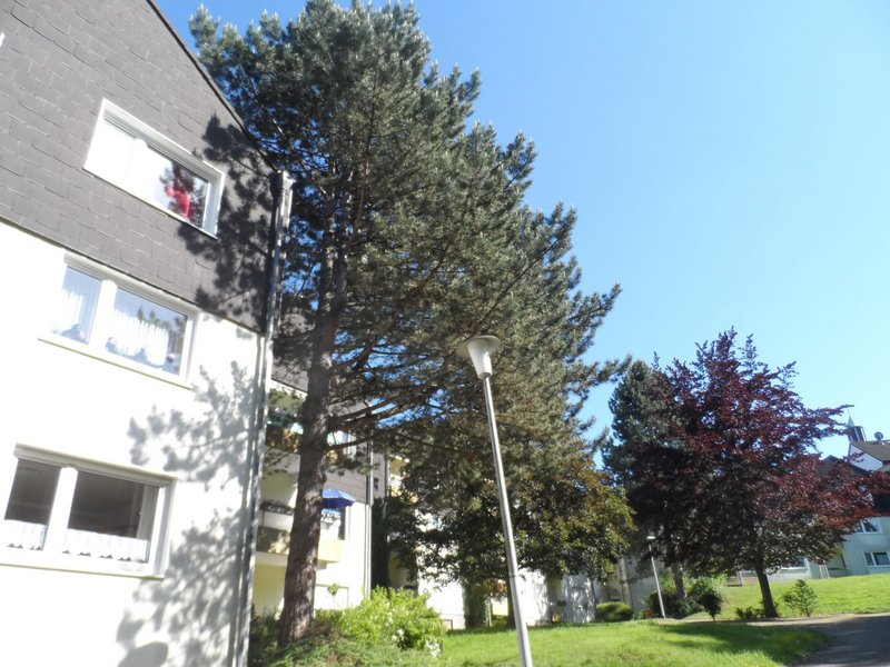 Schöne-2-Zimmer-Seniorenwohnung ab 01.06.2026 zu vermieten