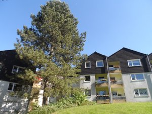 Am Glockenberg