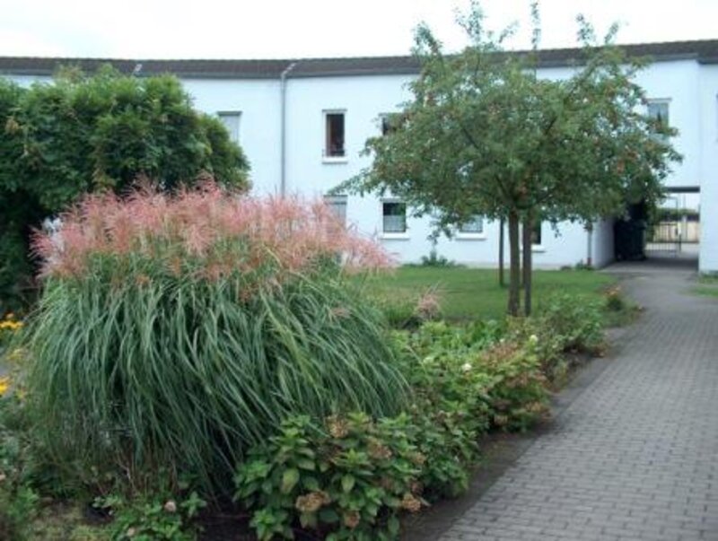 Gartenbereich
