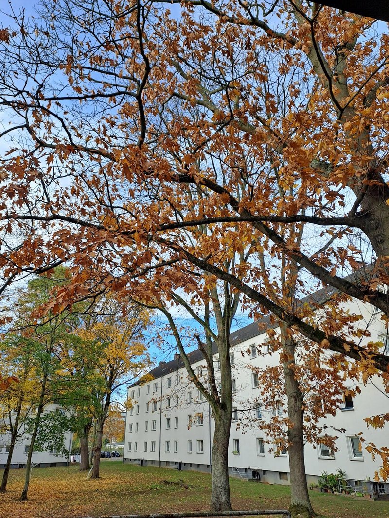 Schicke 2-Zimmerwohnung mit Balkon in Düsseldorf Rath