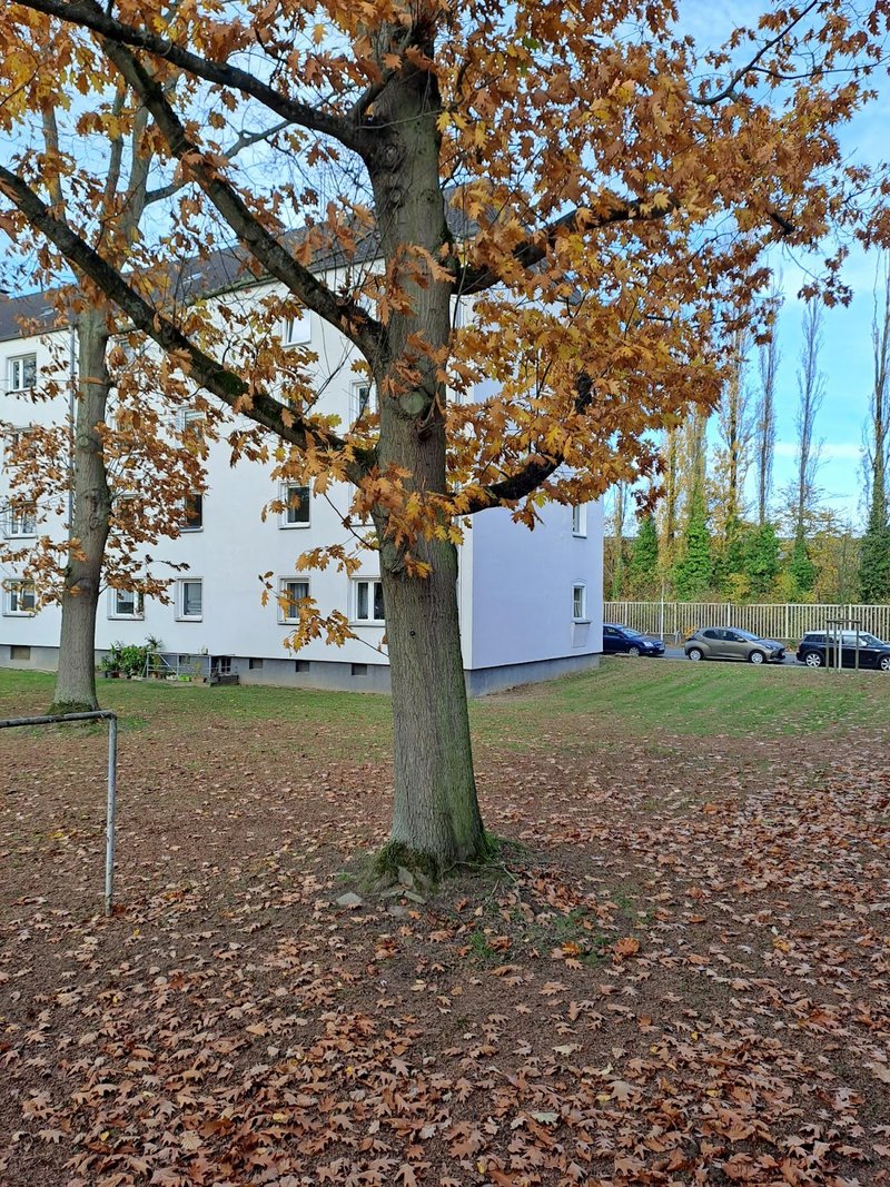 Schicke 2-Zimmerwohnung mit Balkon in Düsseldorf Rath